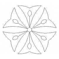 hexagon lily